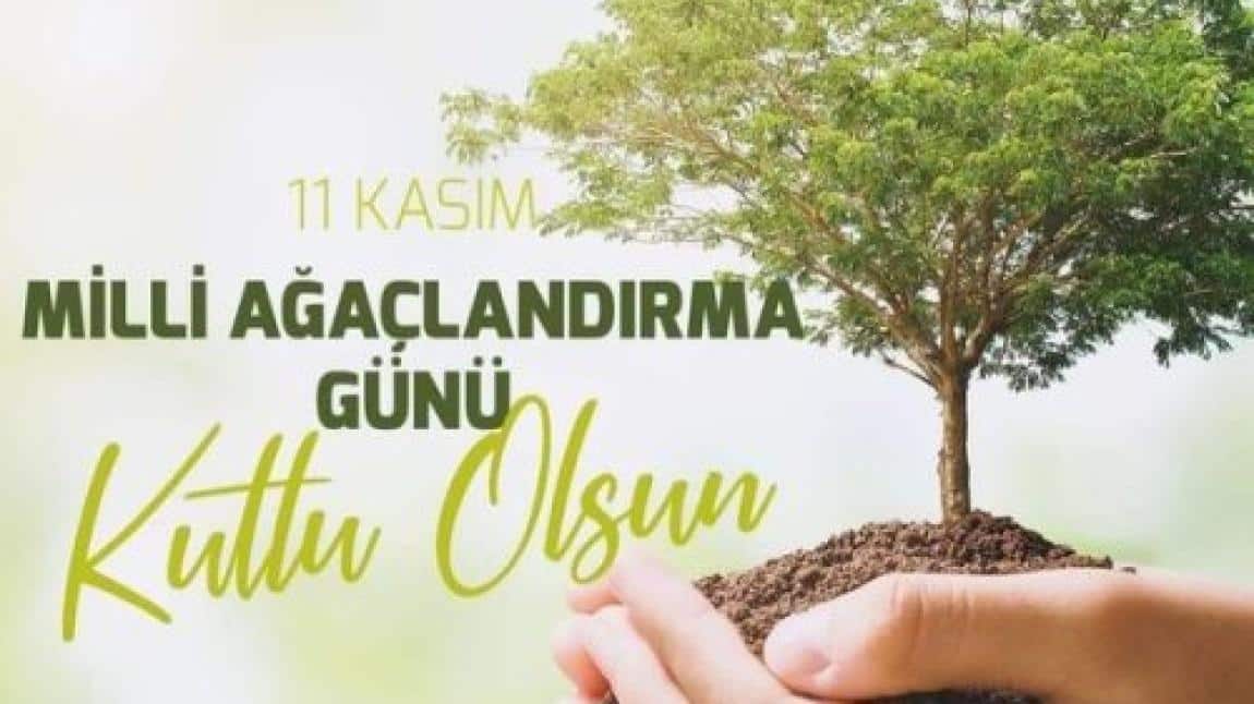 11 Kasım Milli Ağaçlandırma Günü